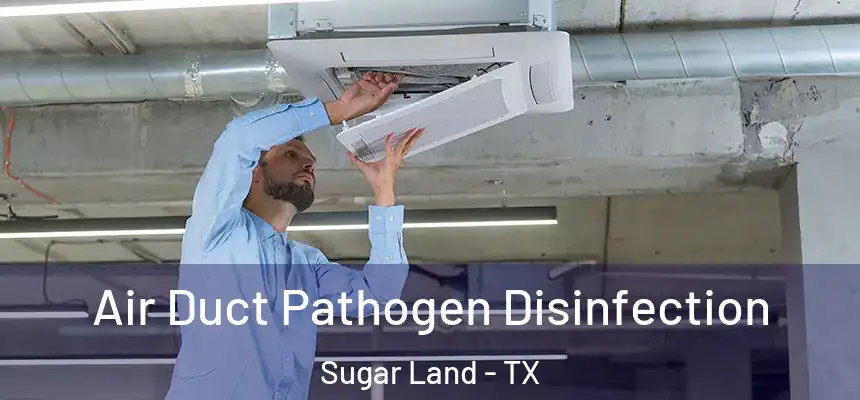 Air Duct Pathogen Disinfection Sugar Land - TX