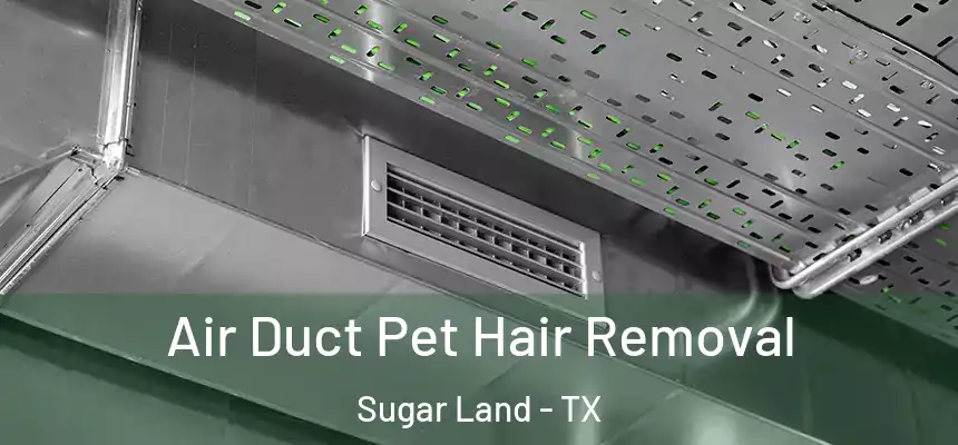 Air Duct Pet Hair Removal Sugar Land - TX