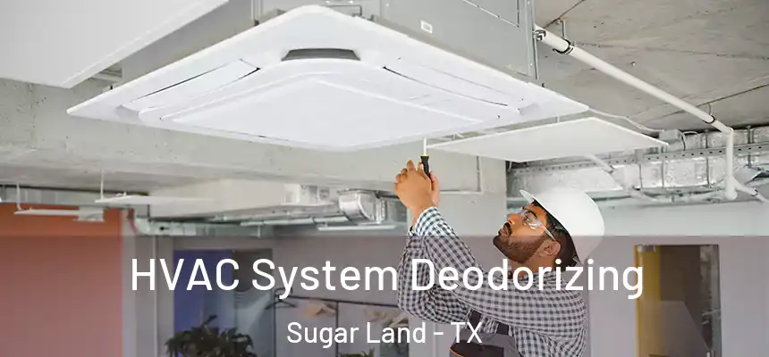 HVAC System Deodorizing Sugar Land - TX