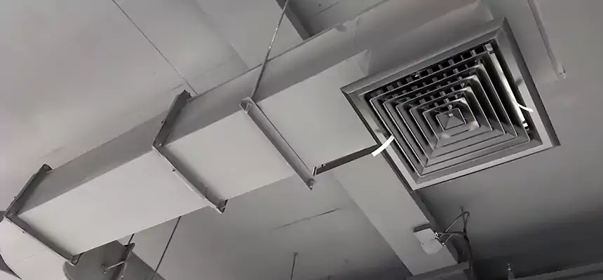 Restorative Allergy Relief Vent Cleaning – Coil, Blower & Housing Detail in Sugar Land