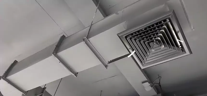 Our Pest Removal From Ducts Services in Sugar Land, TX