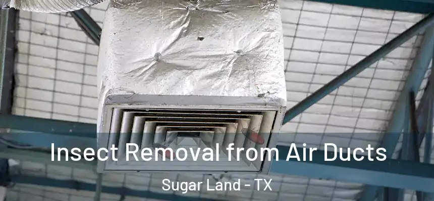 Insect Removal from Air Ducts Sugar Land - TX