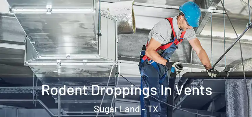 Rodent Droppings In Vents Sugar Land - TX