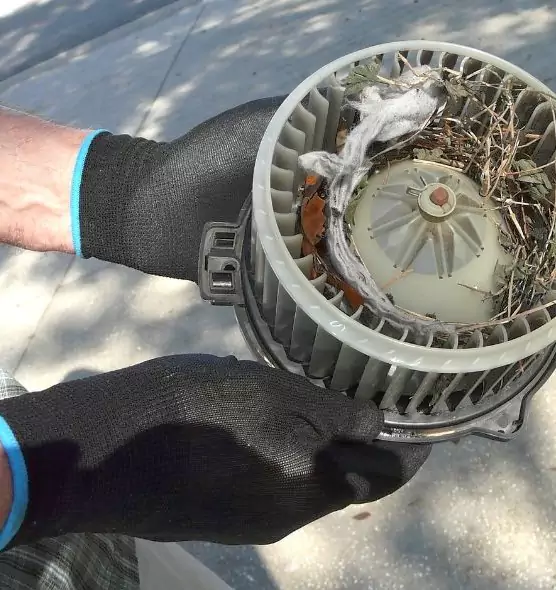 About Air Duct Rat Removal in Sugar Land, TX