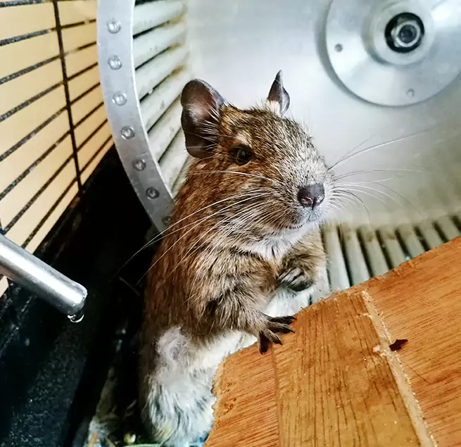 Why Homeowners & Businesses Trust Us Sugar Land, TX