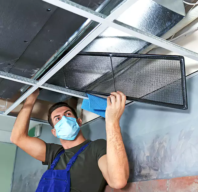 Why Homeowners Businesses Trust Us in Sugar Land, TX