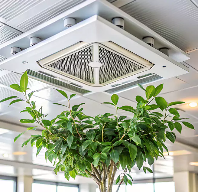 Why Homeowners & Businesses Trust Us in Sugar Land, TX?