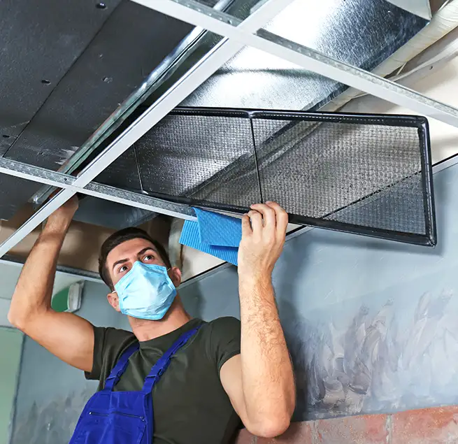 Why Homeowners & Businesses Trust Us in Sugar Land, TX?