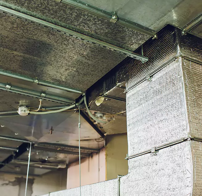 Why Homeowners & Businesses Trust Us in Sugar Land, TX?